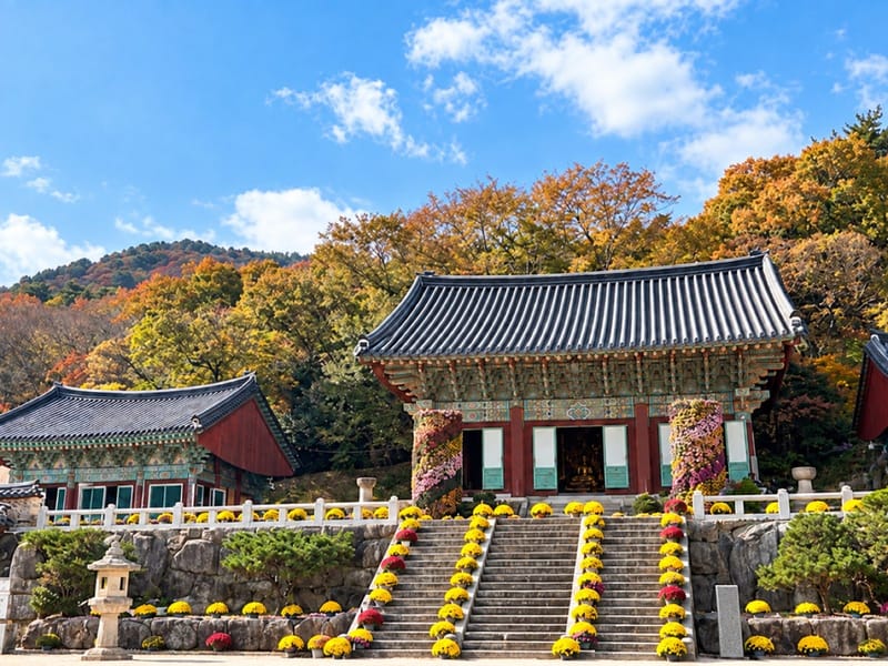 단풍 든 산자락의 범어사