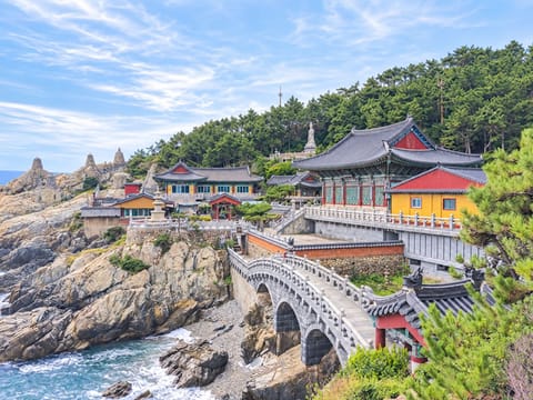 바닷가 바위 위에 자리한 해동 용궁사