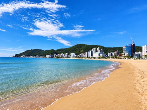 완만한 백사장이 이어지는 송정해수욕장